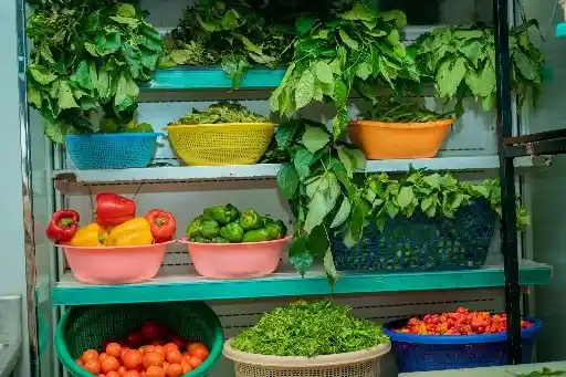 Fresh Vegetables