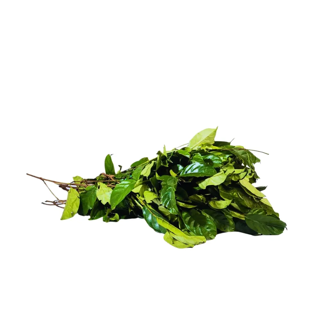 Atama Leaf - Fresh