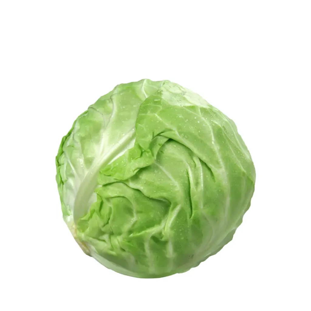 Cabbage Retail