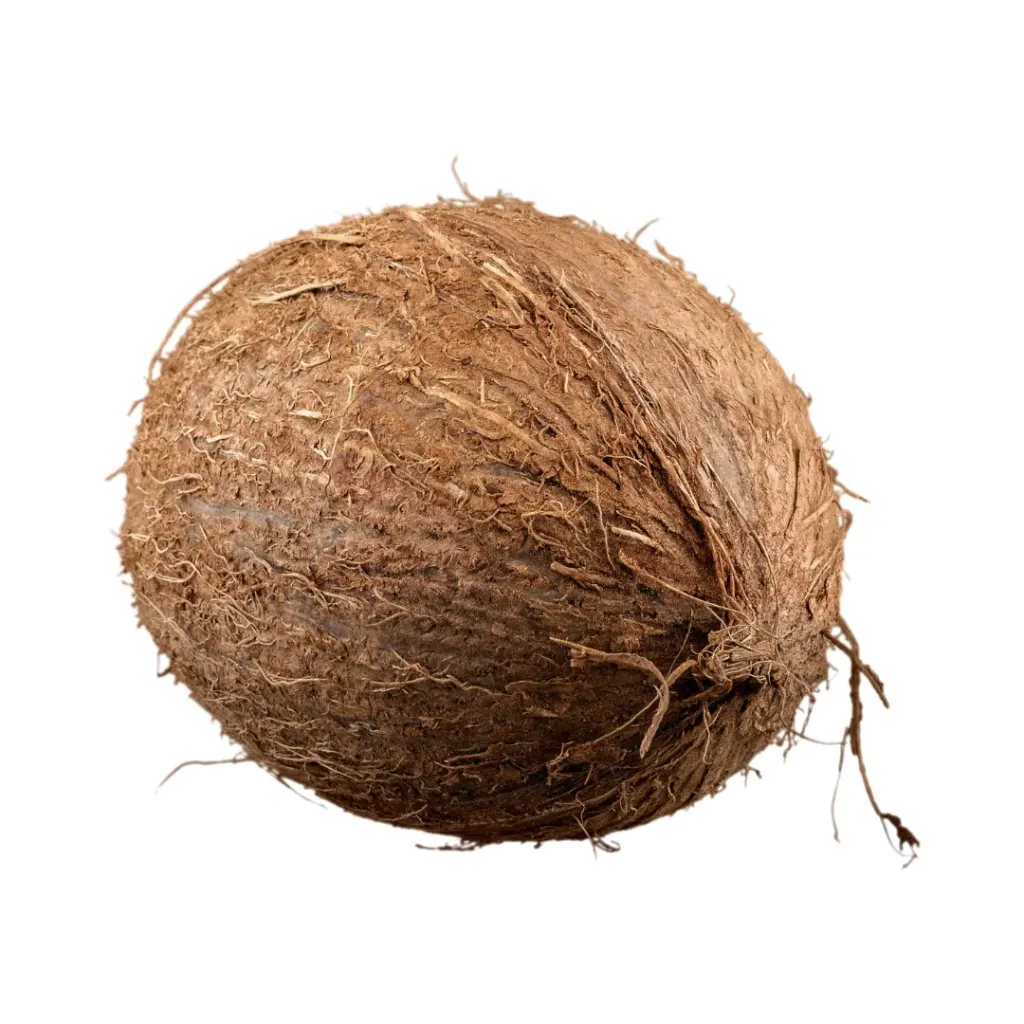 Coconut (Small)