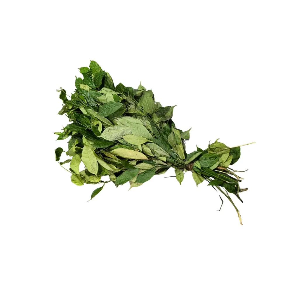 Editan Leaf
