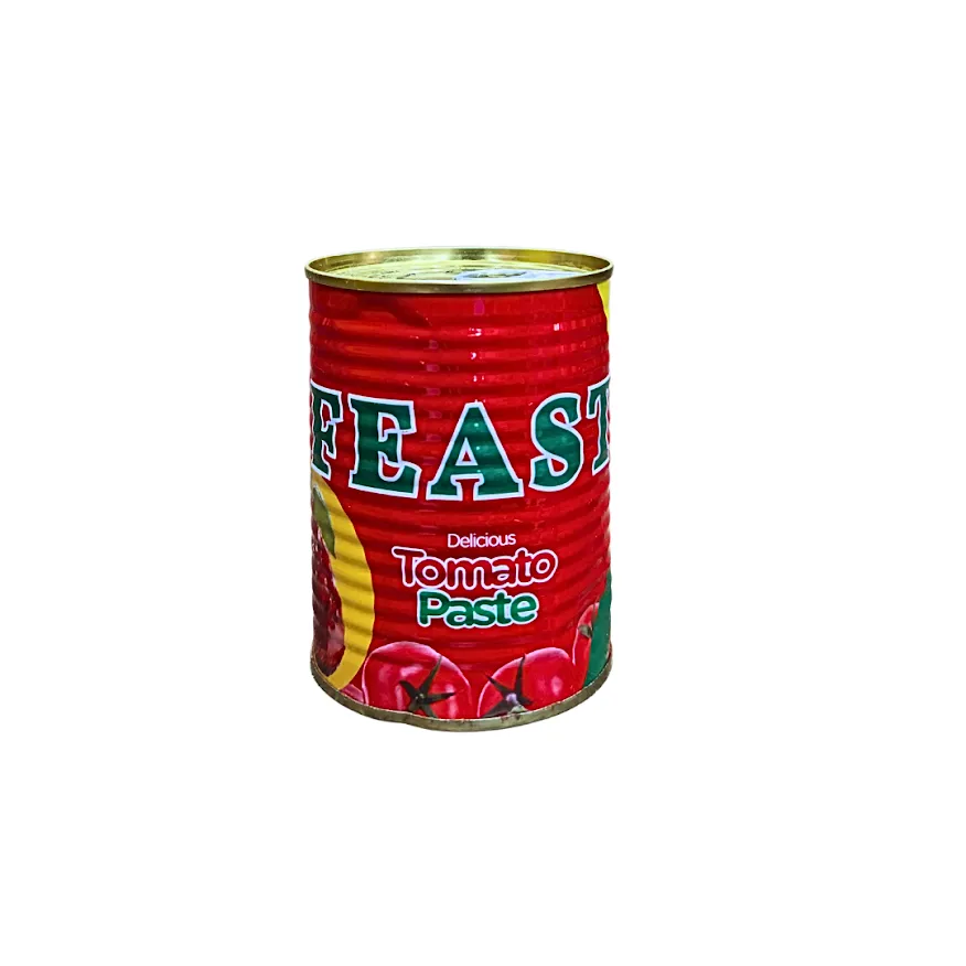Feast Delicious Tomato Paste 400g