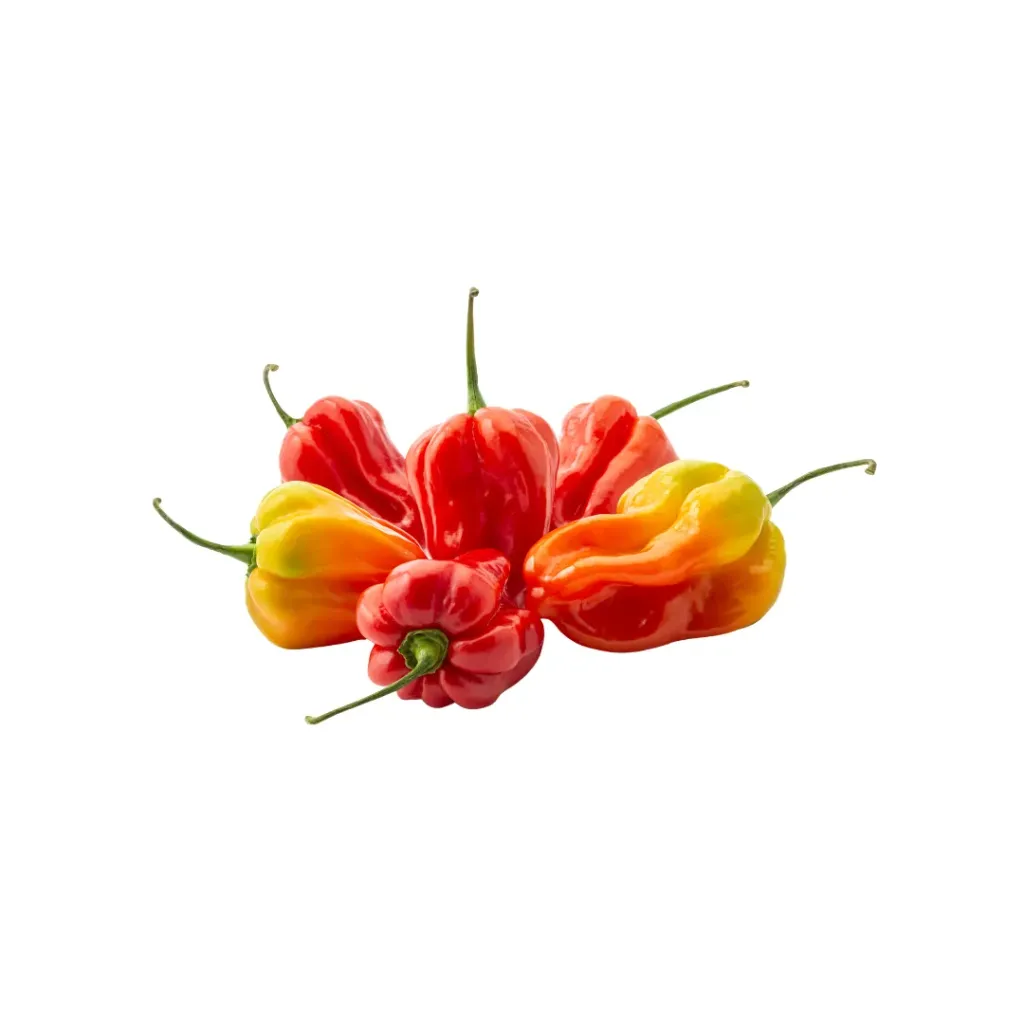 Fresh Pepper/Unit