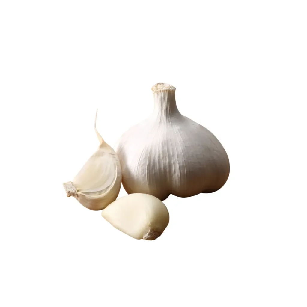 Garlic