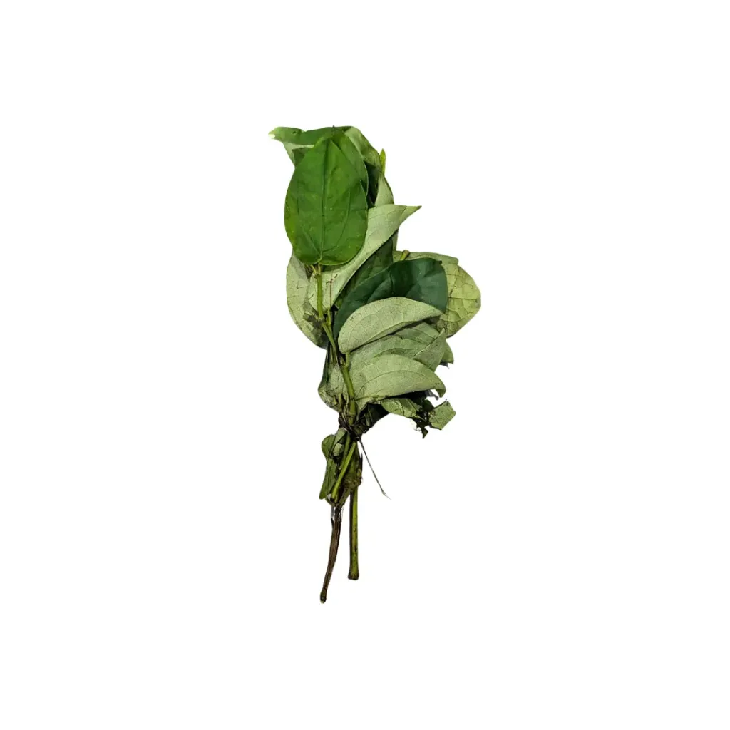Odusa Leaf
