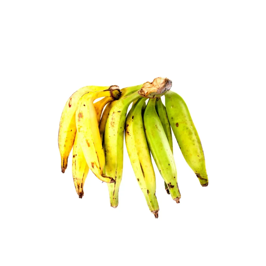 Plantain