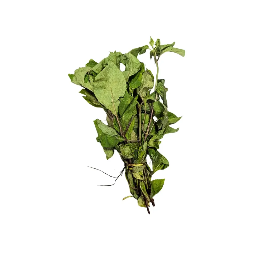 Scent Leaf