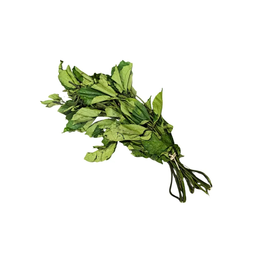 Vegetable Leaf