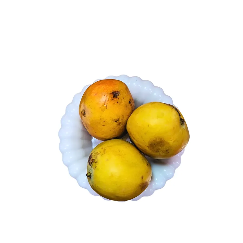 Mango (Retail)