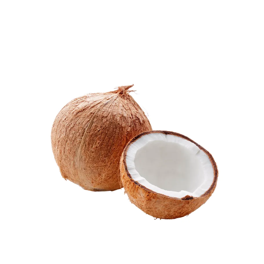 Coconut (Medium)