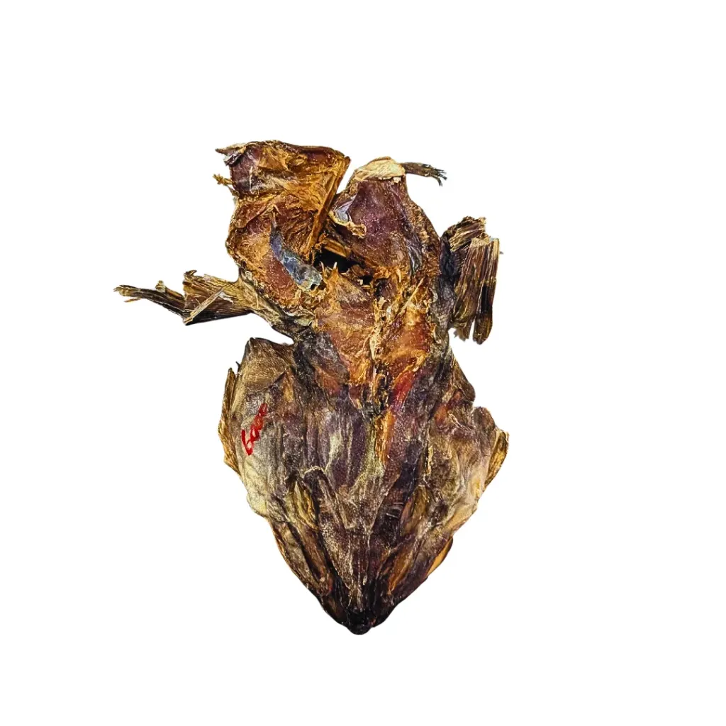 StockFish Head With Ear (Xtra big)