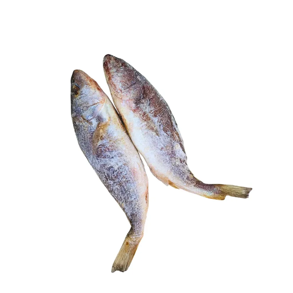 Croaker Fish (Frozen)