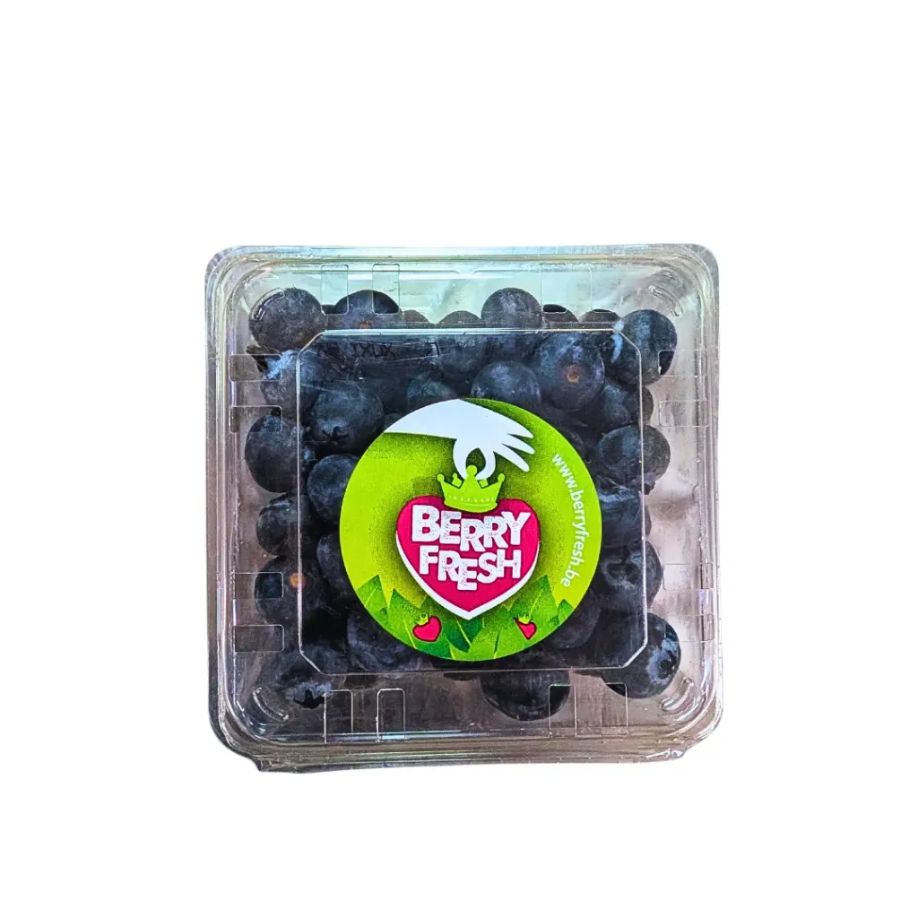 Blueberry Fruit