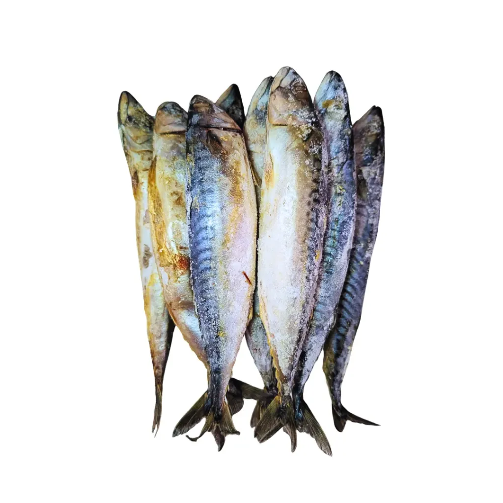 Ice Fish (Mackerel)