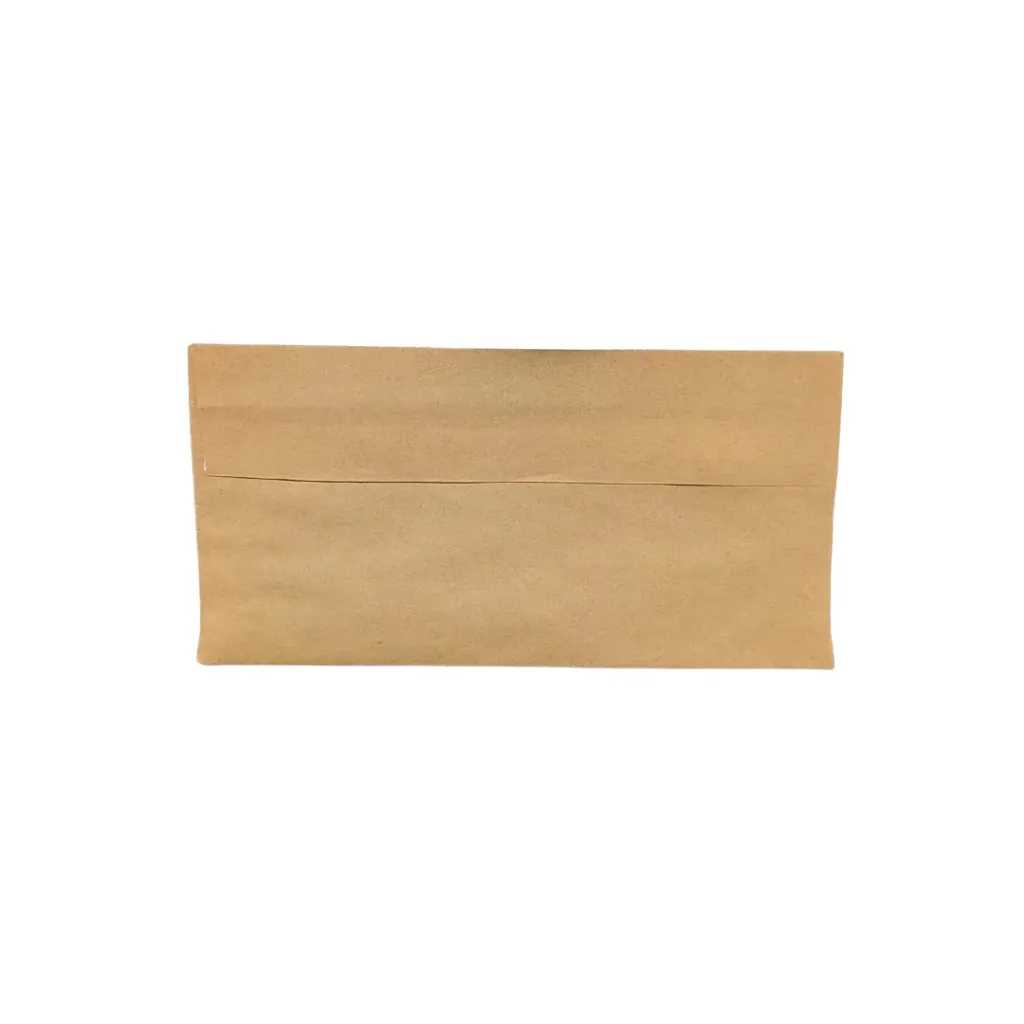 Brown Envelope (Small)