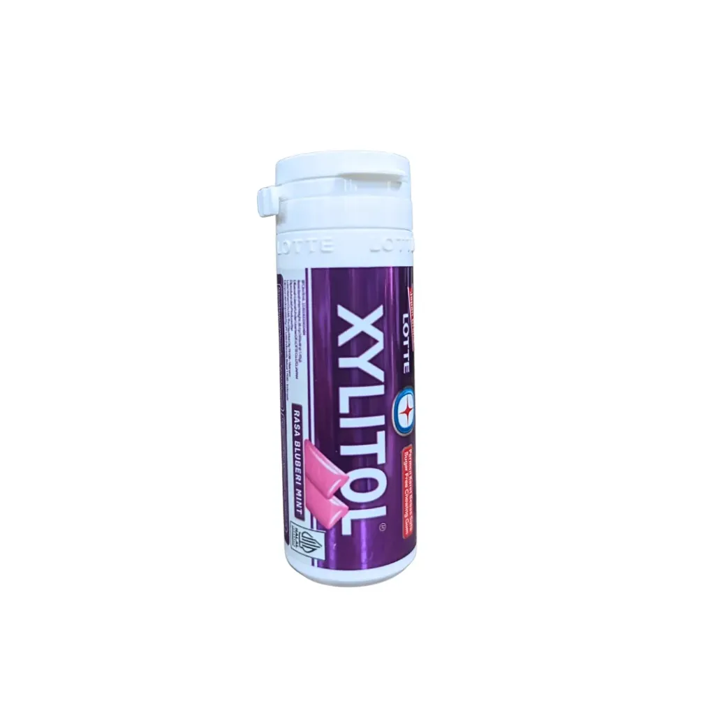 Xylitol Small Gum Blueberry Mint